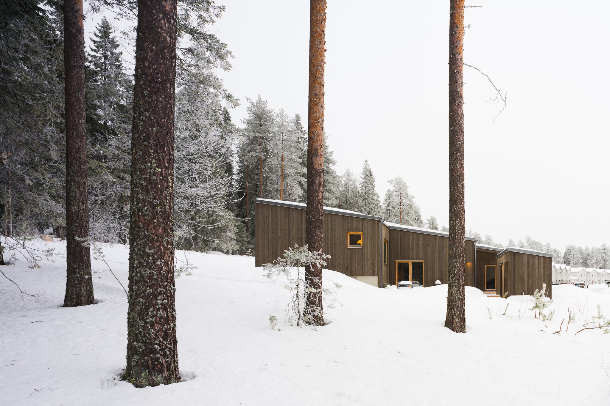 Villa Kronanbacken, skog. Hemma hos arkitekten. Eljest. Josefina Nordmark